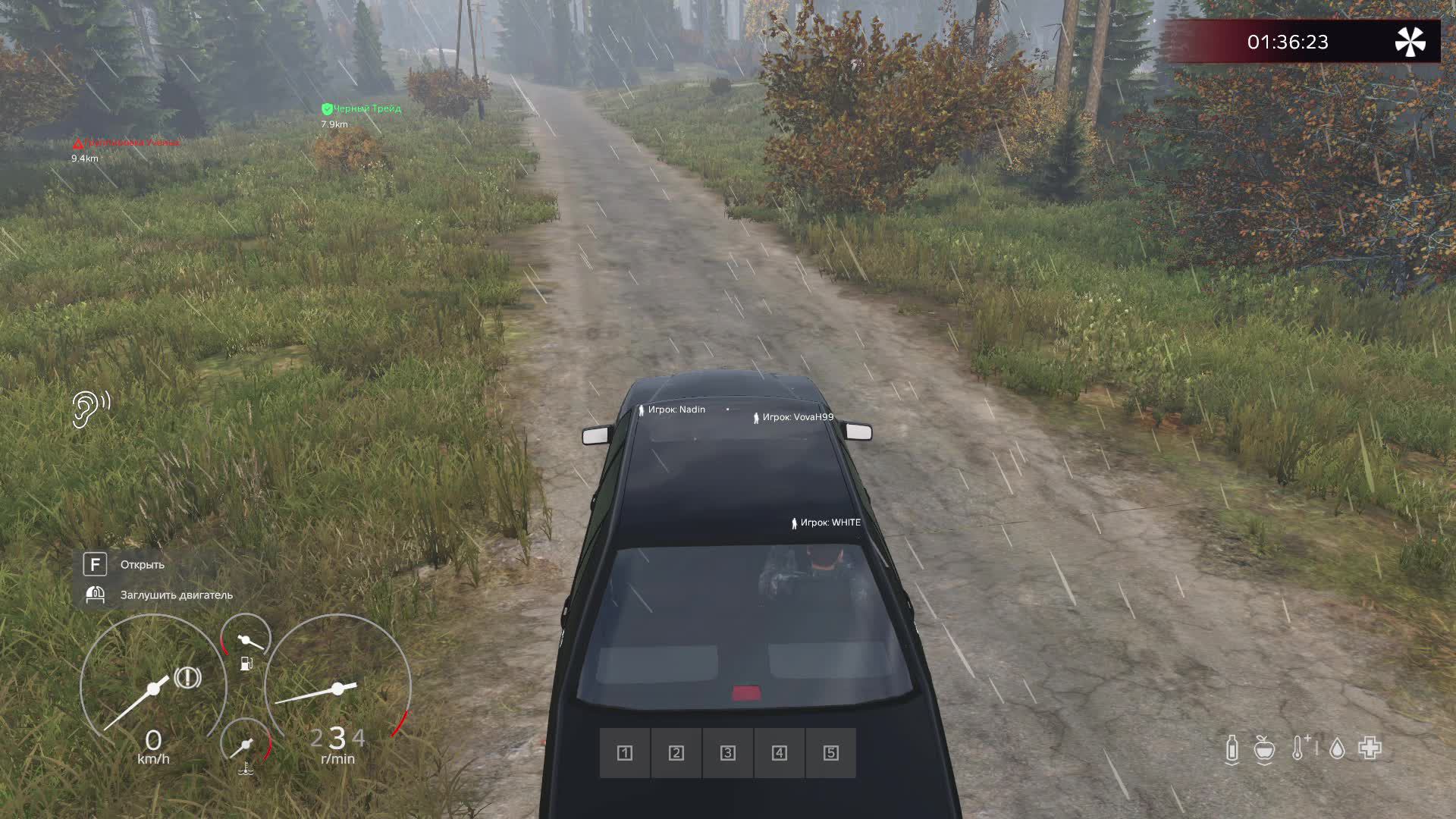 DayZ