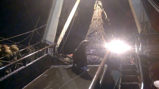 Попался сивуч смотреть онлайн