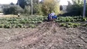 Мотоблок Кентавр 2060Д и автомобильный прицеп.