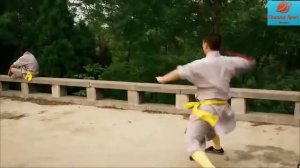 Мастер ушу  Монахи шаолинь  Искусство боя