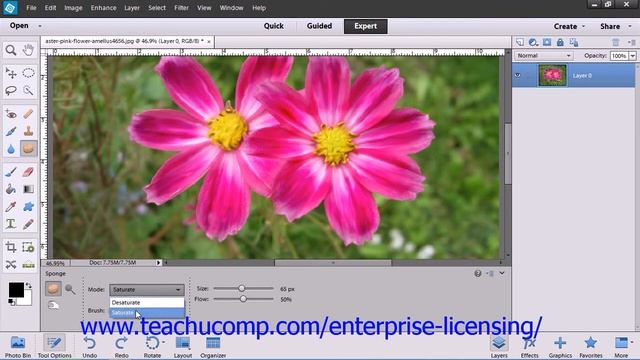 Adobe Photoshop Elements 12 Tutorial Manipulating Images Employee Group Training 13.8 смотреть онлайн