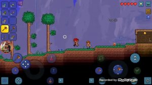 Terraria Стрелок. 1.1