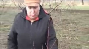 обрезка персика 1.mp4