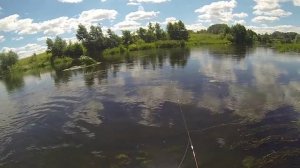 Ловля нахлыстом в средней полосе