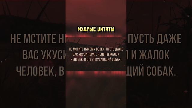 Как же Точно сказано! Мудрые слова о мести #цитаты #афоризмы #мудрыемысли #цитатысосмыслом
