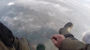 Зимняя рыбалка в феврале на Маныче. Хирный 16 четверг! Выводы.