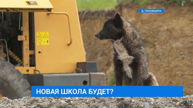 Школа в Грановщине смотреть онлайн