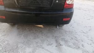 Раздвоенный выхлоп приора
