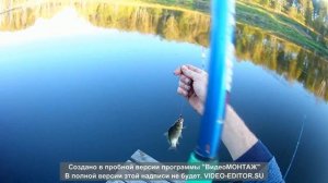 Ловля карася осенью. Карась на поплавок.