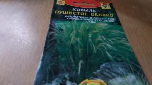 ПОСАДИЛА #КОВЫЛЬ РАЗНЫЙ