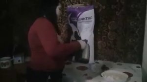 ЗЦМ Биолактис , дали попробовать поросятам
