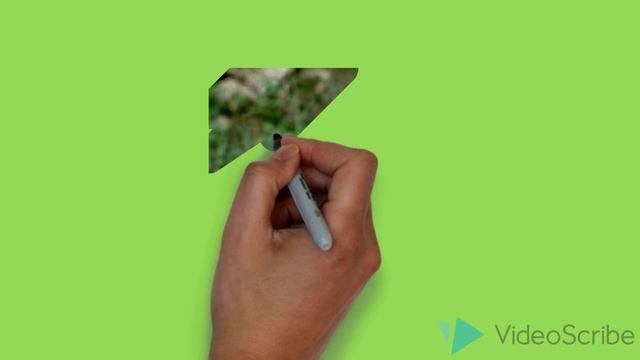 Печоро - Илычский заповедник. смотреть онлайн