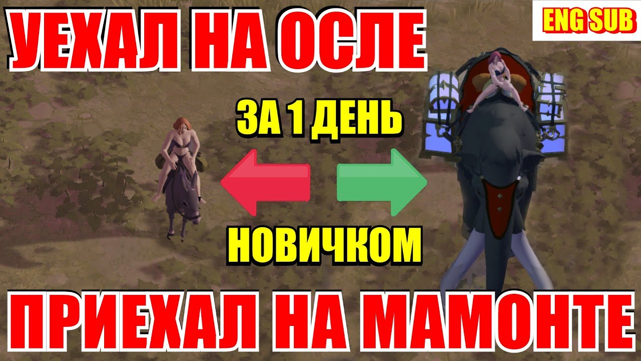 Albion online - С НУЛЯ ДО МАМОНТА ЗА 1 ДЕНЬ ПРОХОЖДЕНИЕ АЛЬБИОН ОНЛАЙН