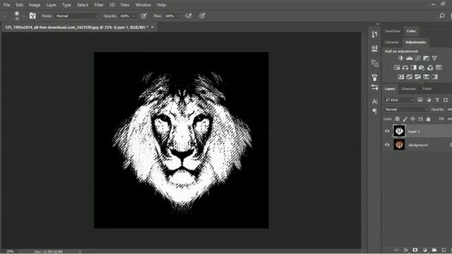 Lion face maskPhotoshop
