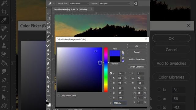 Paint Bucket Tool | Photoshop 2020 for Beginners | Top 10 Tools in Photoshop