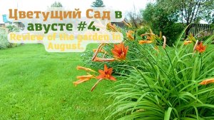 Цветущий Сад в августе #4  (обзор сада).?review of the garden in August.?