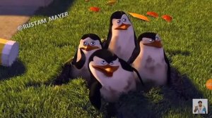 Пингвины из Мадагаскара: матершиная озвучка