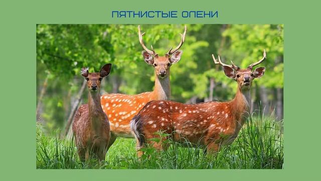 #ИменаИДаты 11 января - День заповедников и национальных парков