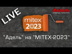 Митекс 2023