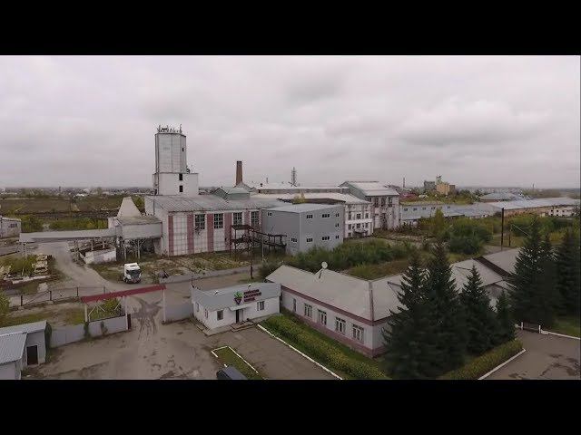"Бийский сахарный завод" купила новосибирская компания" (Будни, 26.09.17г., Бийское телевидение)