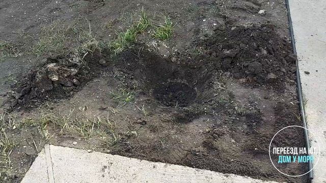 Благоустройство участка.  Высаживаем весной туи Смарагд и Даника.