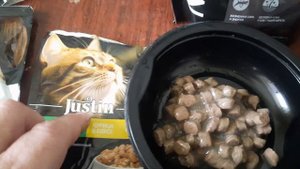 Чем кормить кота Васю.