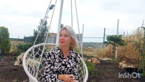 Кипарисовики сорта Ван Пелтс Блу, купрессоципарисы сортов Голд Райдер и Голд Ривер. Закладка сада.