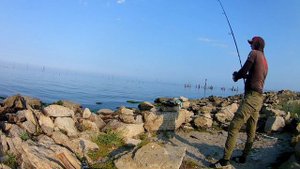 Balıq ovu. Kutum. Bakı. Рыбалка. Кутум. Баку.