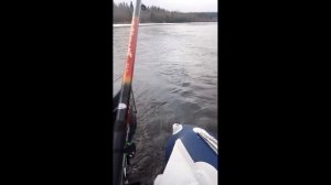 Рыбалка на таежой реке Яйва.