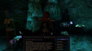 Из воспоминаний данмерки Мериды. Неревар возрожден. Призраки неудавшихся Воплощений