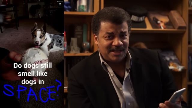 Нил Деграсс Тайсон отвечает на глупые вопросы смотреть онлайн