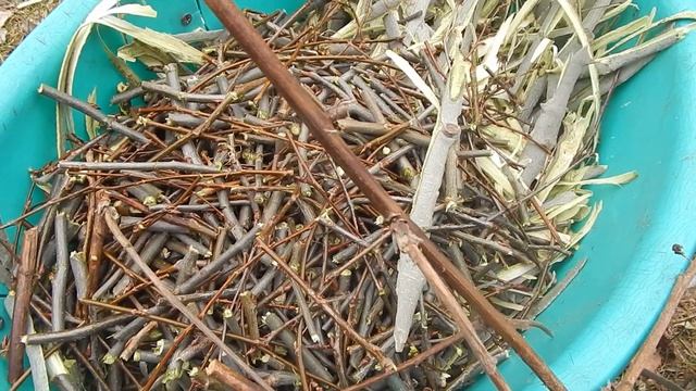 Как сделать плодородную почву. Начнем с компоста. смотреть онлайн