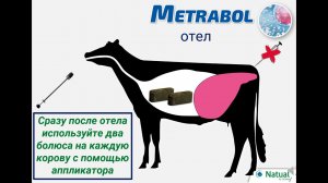 Metrabol - болюс для воспроизводства