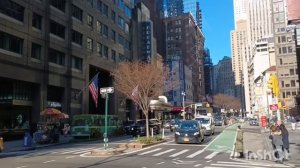 ФлоридаЯлта в Лондоне. Надя Колорадо & Грег. Оксана МС & Мама. Мама Галя в Америке.