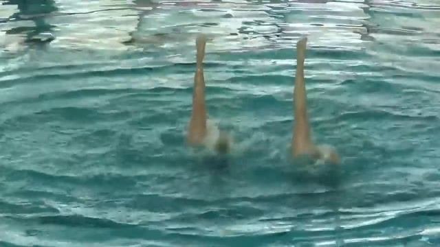 Svetlana Kolesnichenko Svetlana Romashina RUS) Free Duet Final, Savona European Champions Cup 2013