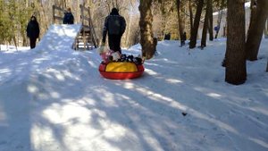 Зимние выходные в Подмосковье Парк-отель "Воздвиженское"