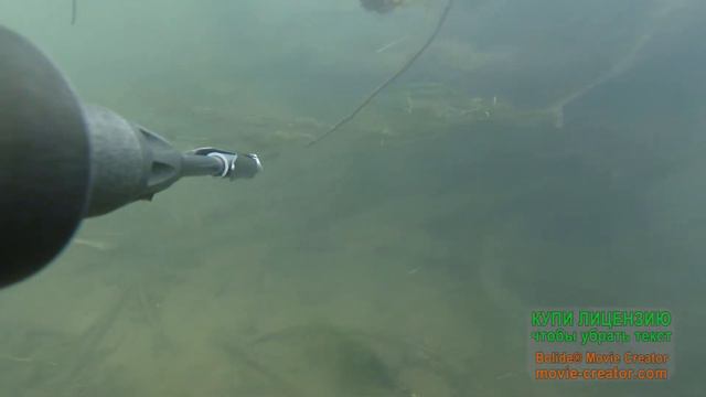 Подводная охота в сентябре на р Дема