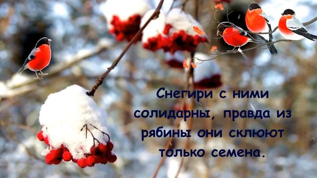 Покормите птиц зимой! смотреть онлайн