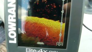 Стаи бели, сканируемые эхолотом Lowrance Elite 4x DSI
