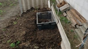 Разведение червей для рыбалки