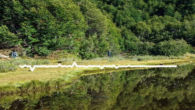 АЛИ САИДОВ - МОЯ ЕДИНСТВЕННАЯ 2024 смотреть онлайн