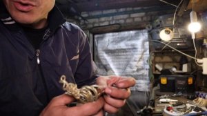 Порвался трос ручника.Как соеденить трос ручника.Ремонт ручника. Мазда мпв.#mazda #мазда #mazda mpv