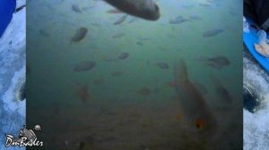 Зимняя рыбалка в Кемерово, Кузнецкий мост,ловля сороги