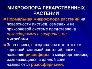 Микрофлора лекарственных растений и форм.