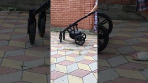 Коляска Agio Prado 3 в 1. Часть 5. Шасси.