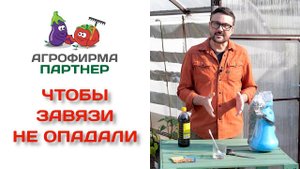 Чтобы завязи не опадали