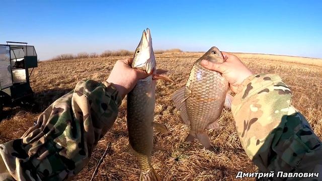 Приехали на разведку, а тут рыба- Щуки и караси! Разловили дикое место! Рыбалка на паук!