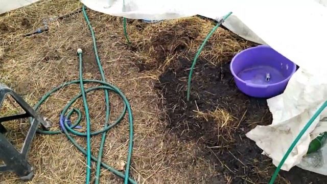 Весна! Грею теплицу навозной кучей. смотреть онлайн