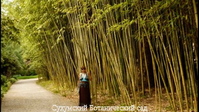 Сухумский Ботанический сад смотреть онлайн