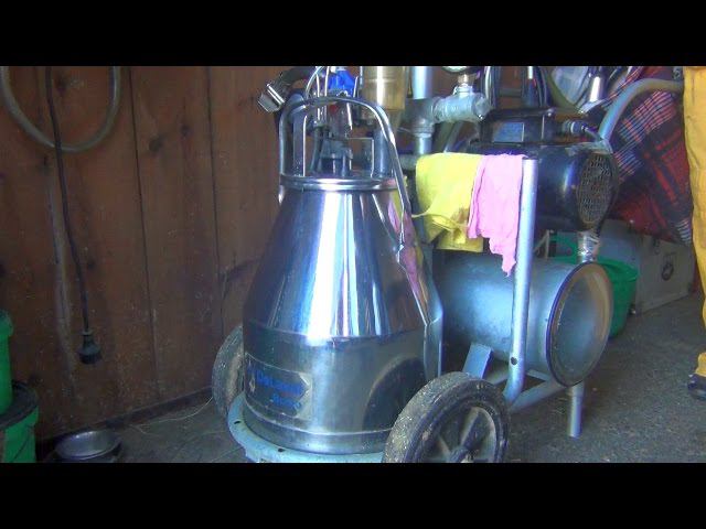 Доильный аппарат ДеЛаваль. Фермерское хозяйство "Kamadhenu"